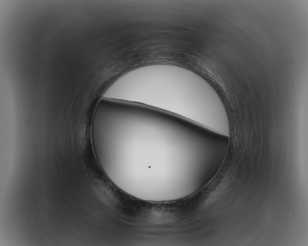 X0000088480641200705221001