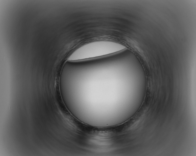 X0000088480645200705221002
