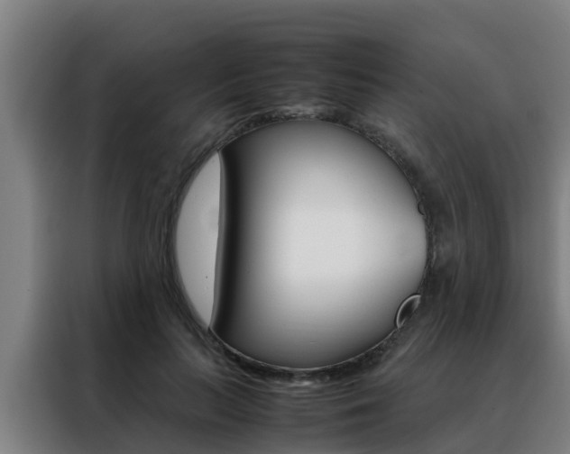 X0000088480647200705221002
