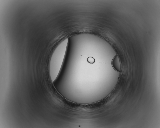 X0000088480648200705221002