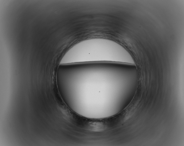 X0000088480649200705221002