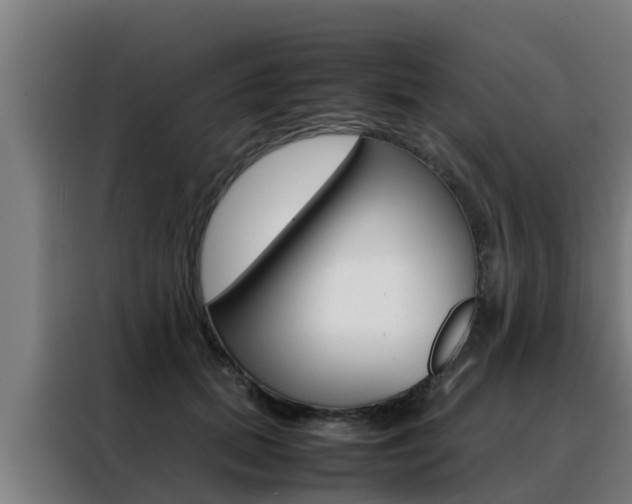 X0000088480655200705221002