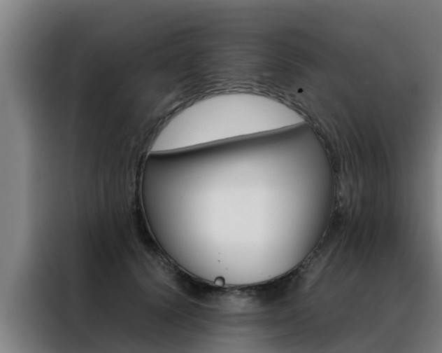 X0000088480656200705221002