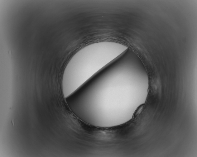 X0000088480657200705221002