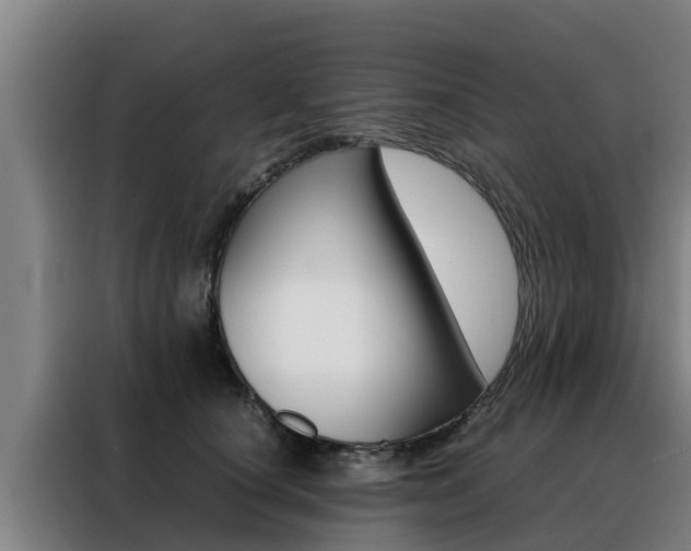 X0000088480660200705221002