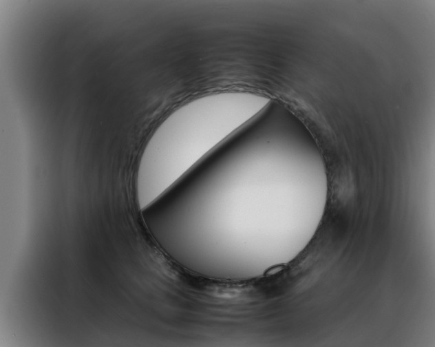 X0000088480661200705221002
