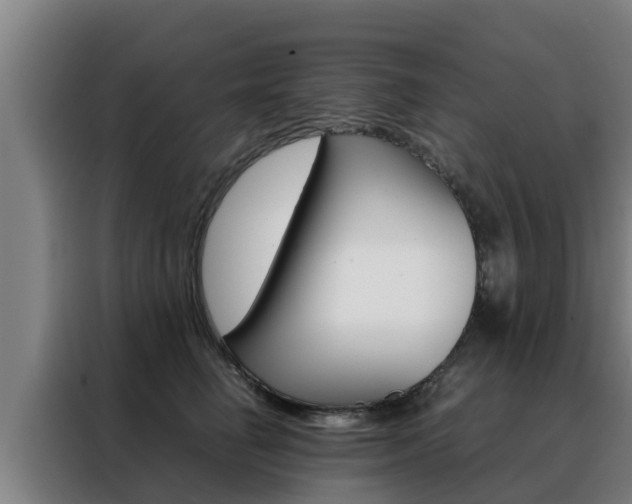 X0000088480662200705221002