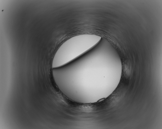 X0000088480668200705221002