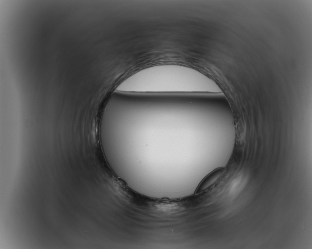 X0000088480669200705221002