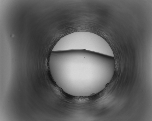 X0000088480670200705221002
