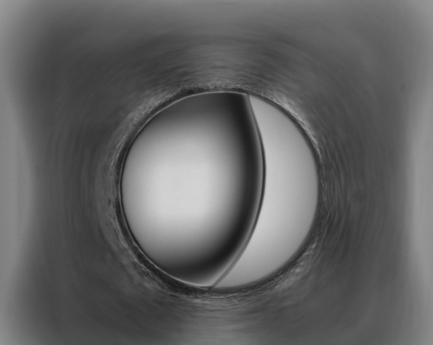 X0000088480673200705221001