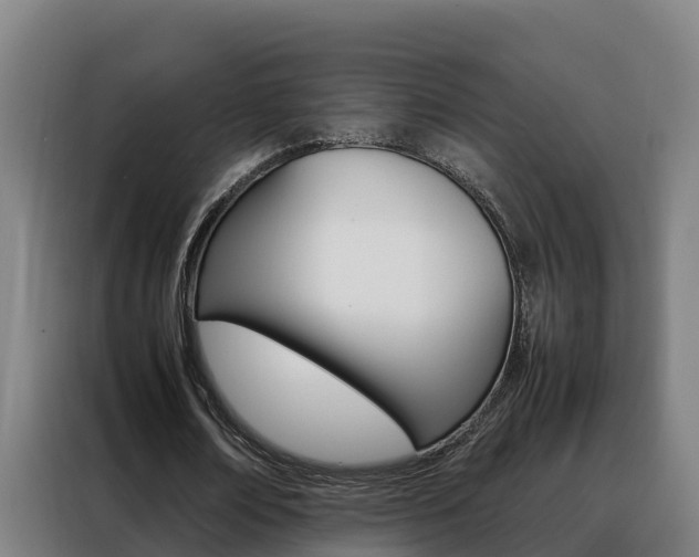 X0000088480674200705221001