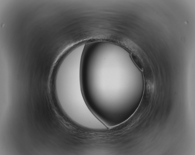 X0000088480676200705221001