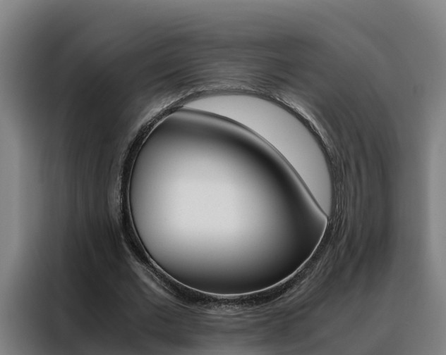 X0000088480677200705221001