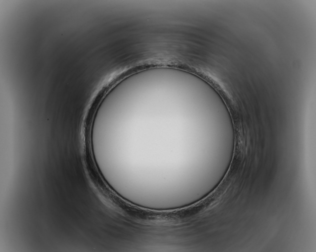 X0000088480678200705221001
