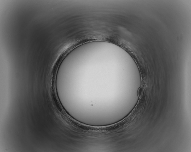 X0000088480679200705221001
