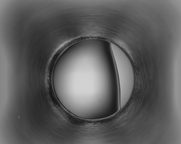 X0000088480680200705221001