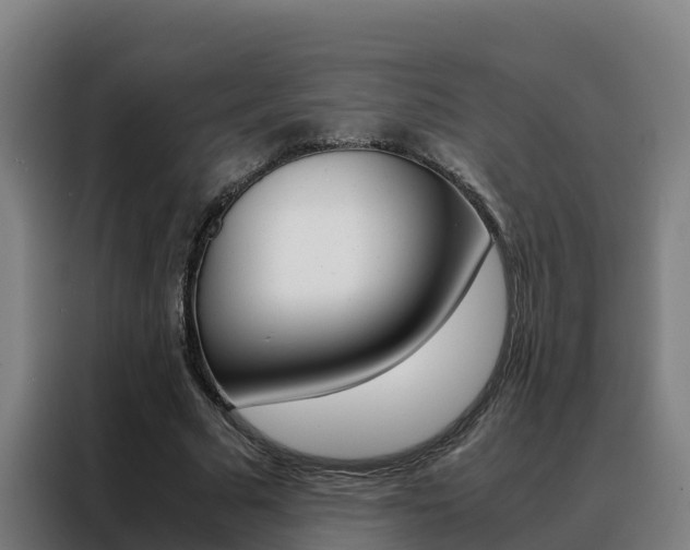 X0000088480681200705221001