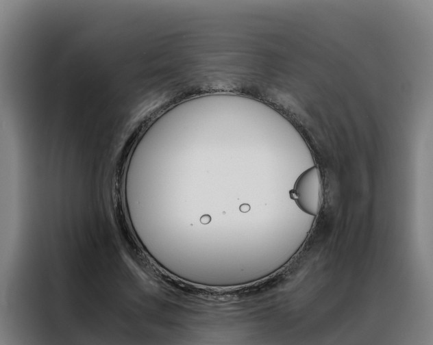 X0000088480683200705221001