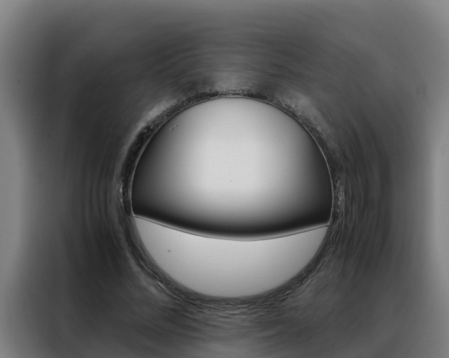X0000088480684200705221001
