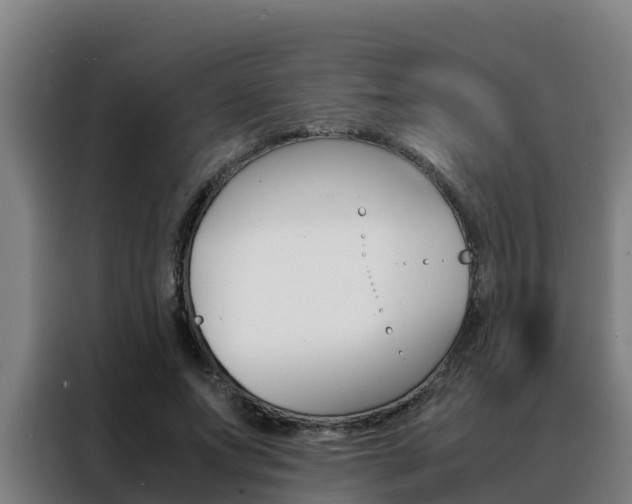 X0000088480687200705221001