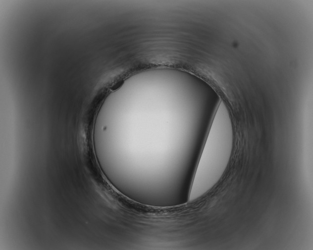 X0000088480688200705221001