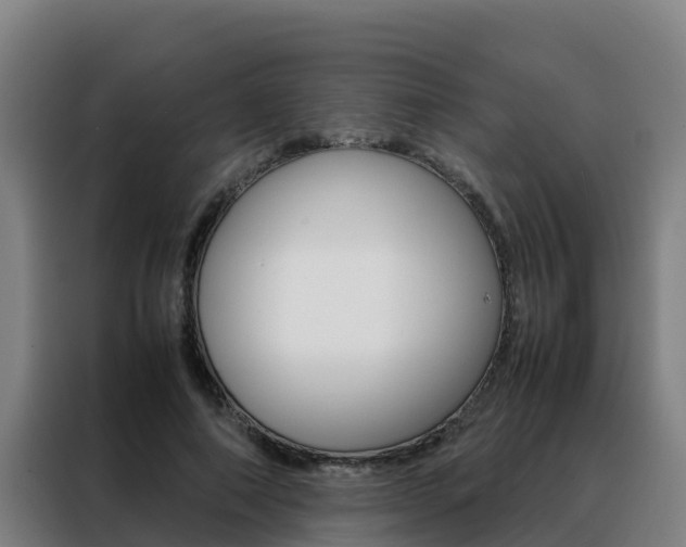 X0000088480690200705221001