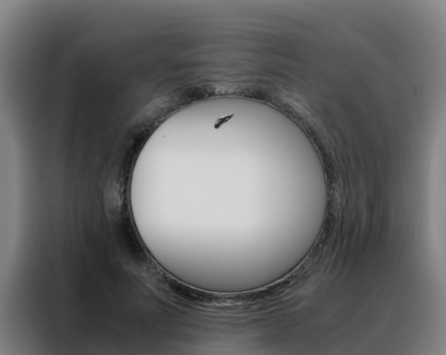 X0000088480691200705221001