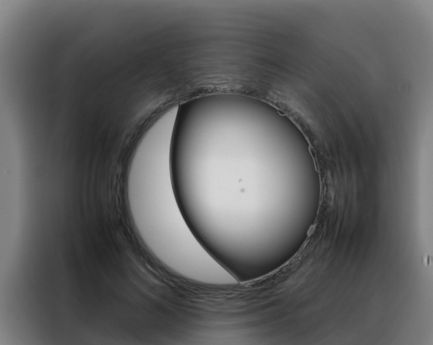 X0000088480692200705221001