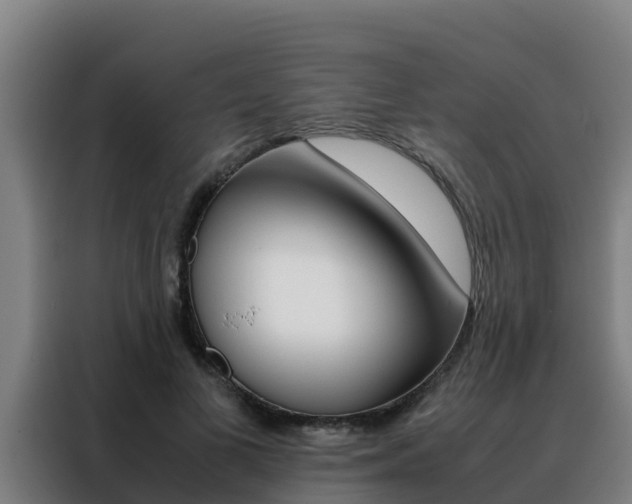 X0000088480693200705221001
