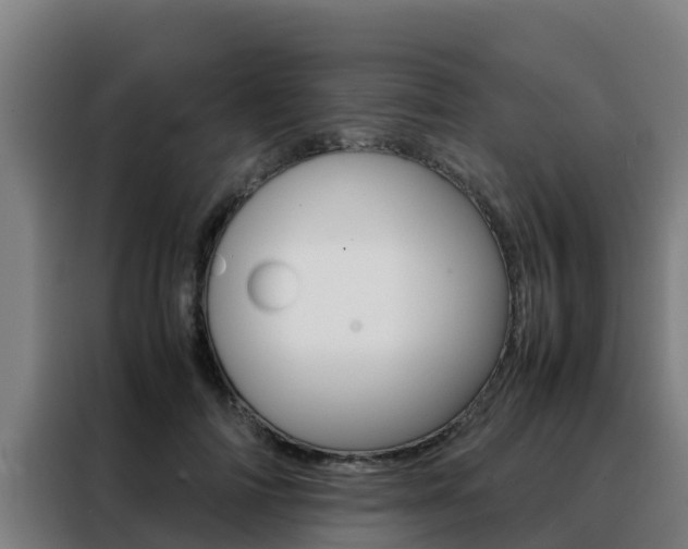 X0000088480698200705221001
