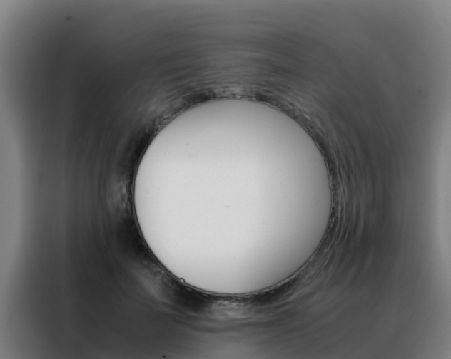 X0000088480699200705221001