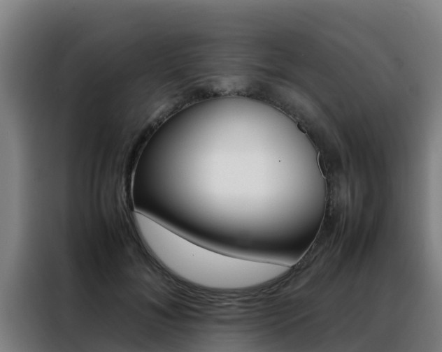 X0000088480700200705221001