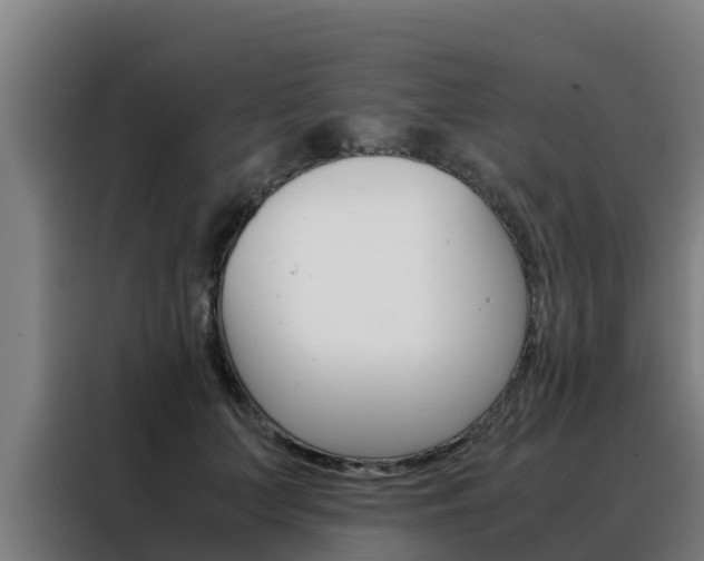 X0000088480703200705221001
