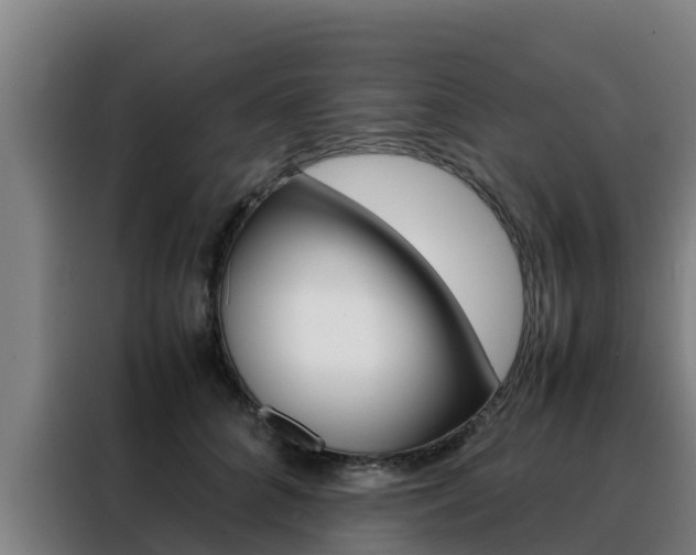 X0000088480704200705221001