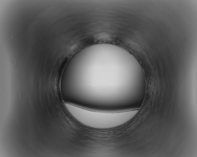 X0000088480708200705221001