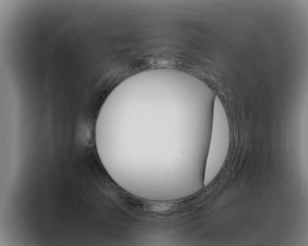 X0000088480709200705221001