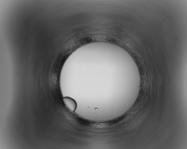 X0000088480711200705221001