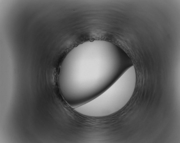 X0000088480712200705221001