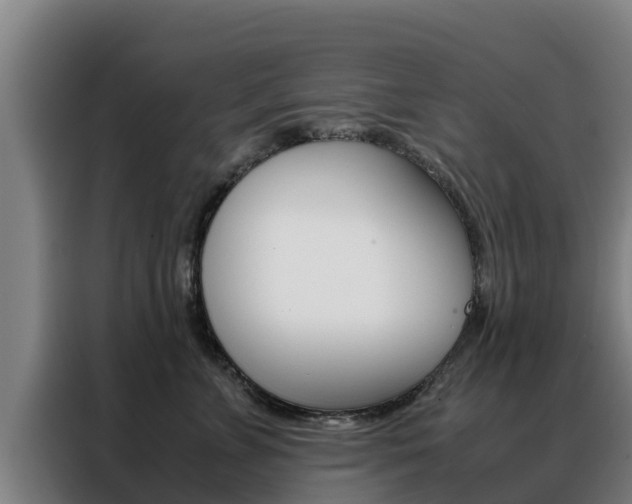 X0000088480715200705221001