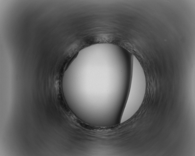 X0000088480716200705221001