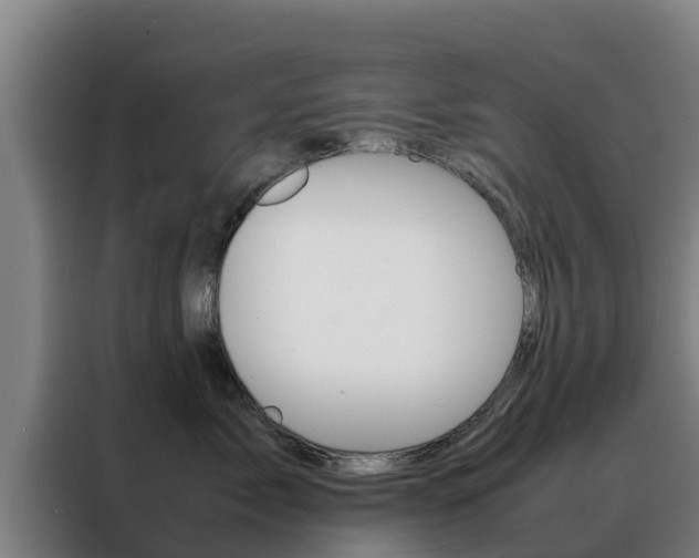 X0000088480717200705221001
