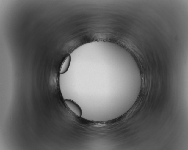 X0000088480718200705221001