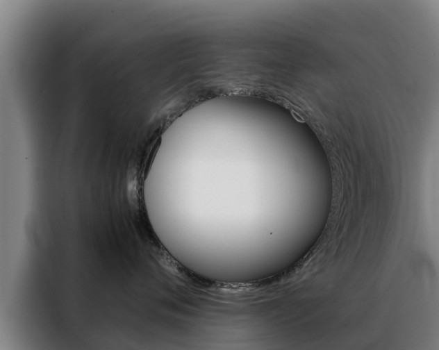 X0000088480720200705221001