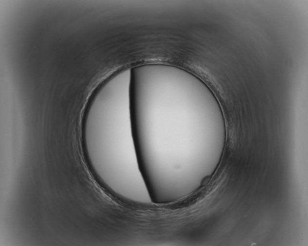 X0000088480721200705221000