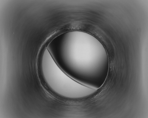 X0000088480722200705221000