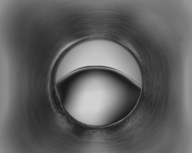 X0000088480724200705221000