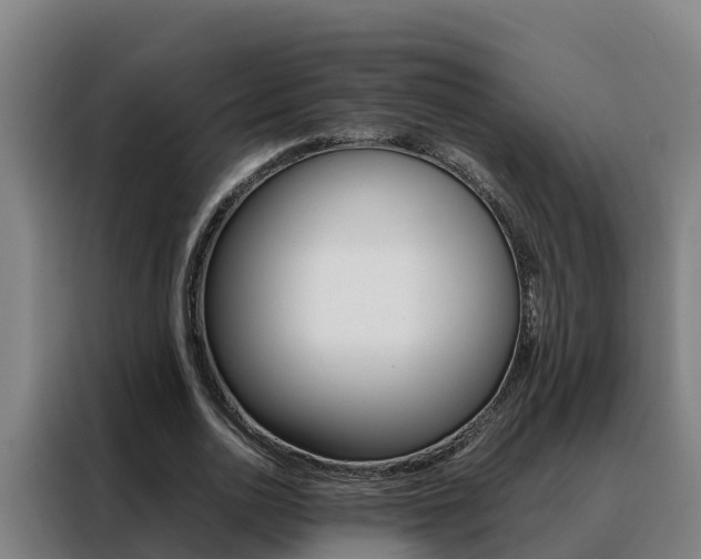 X0000088480726200705221000