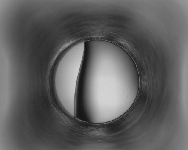 X0000088480727200705221000