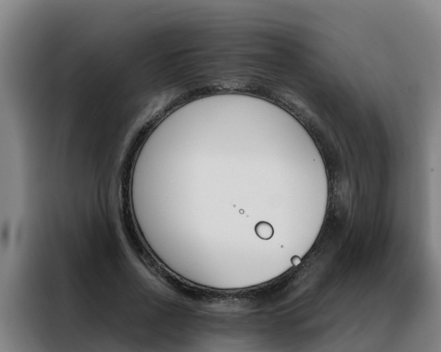 X0000088480734200705221000